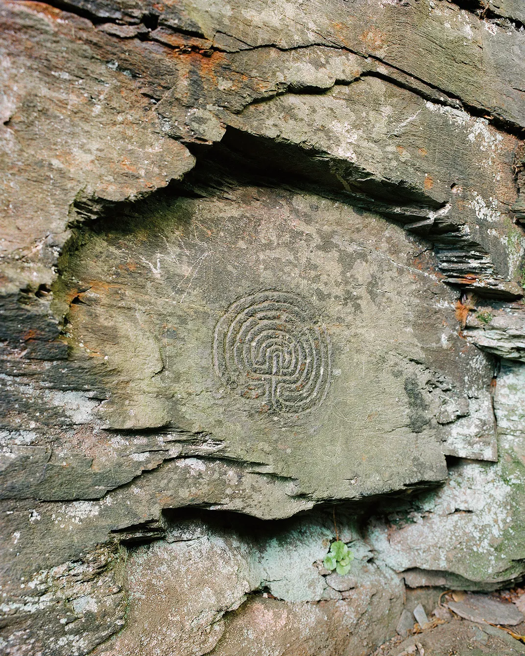 A cryptic labyrinth carving