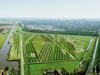 Maze-like landscaping has cut the decibel level of the ambient noise at Amsterdam's Schiphol Airport in half.