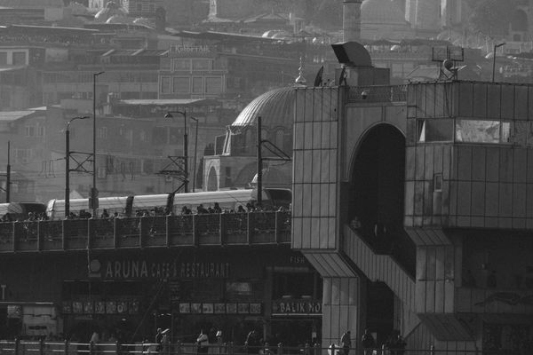 Layers of the living city thumbnail