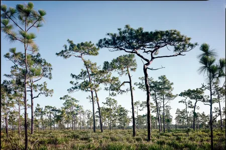 Highlands County, Florida