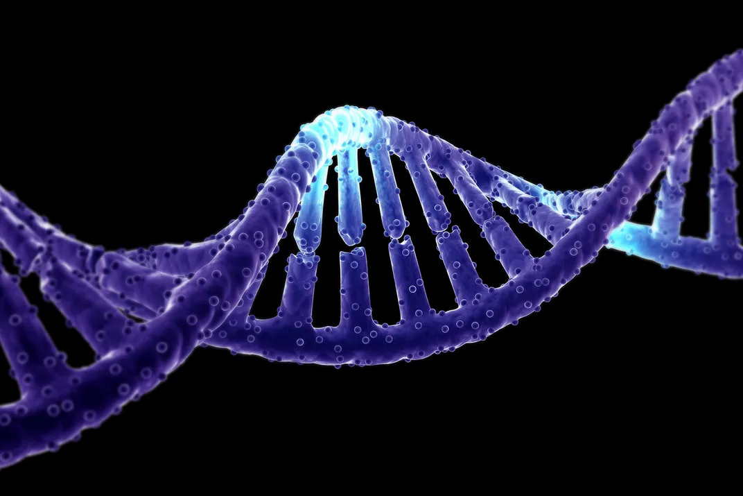 DNA