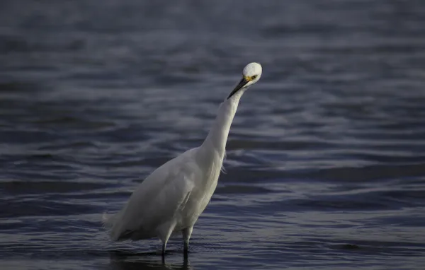 Eye on the Prize thumbnail