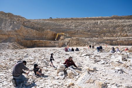 At American Fossil Quarry, on privately owned land near Kemmerer, Wyoming, hammer- and chisel-wielding visitors pay $69 to $89 to spend up to four hours hunting for fossils. Finders, keepers.
