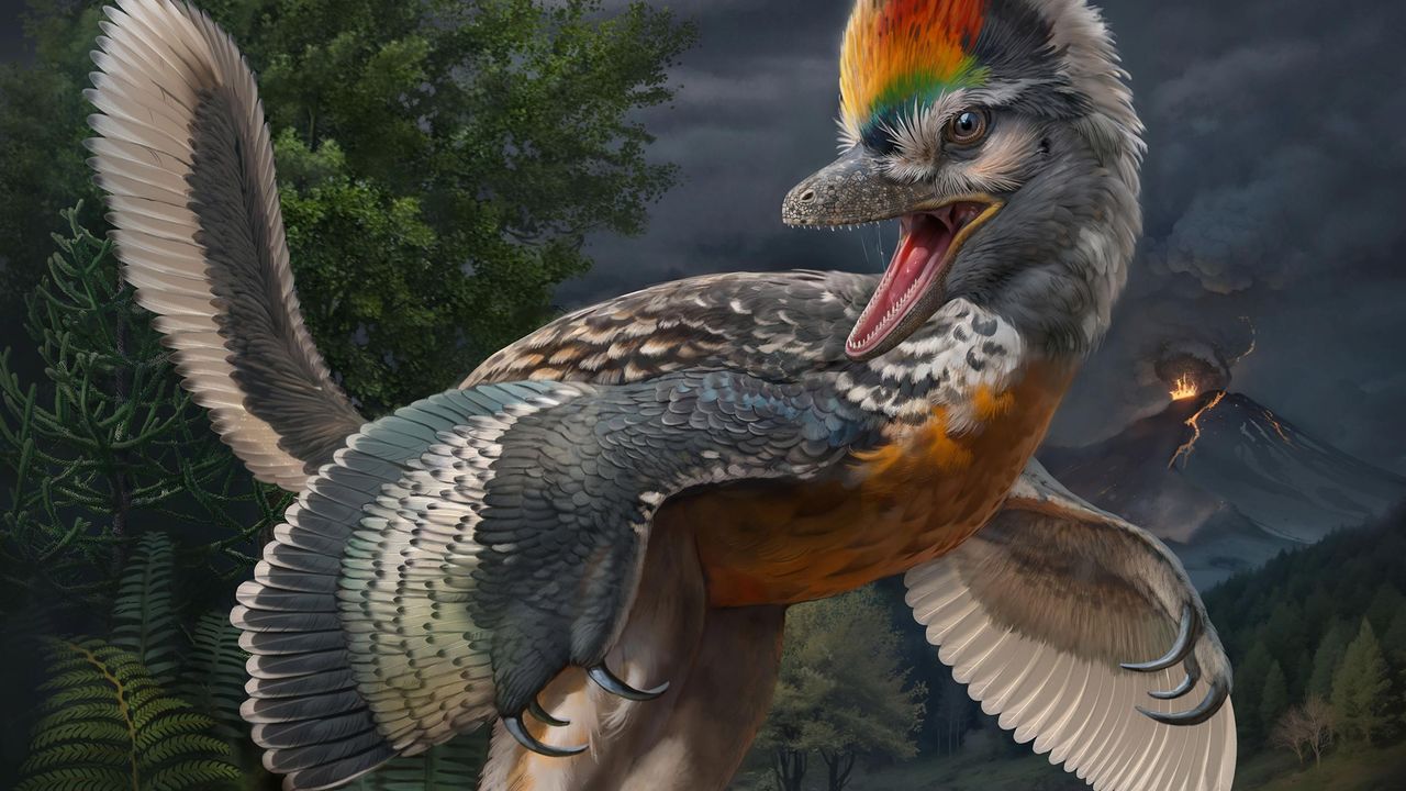 This 'Weird,' Bird-Like Dinosaur Had Really Long Legs