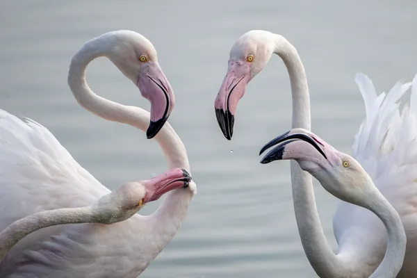 Drop of water thumbnail