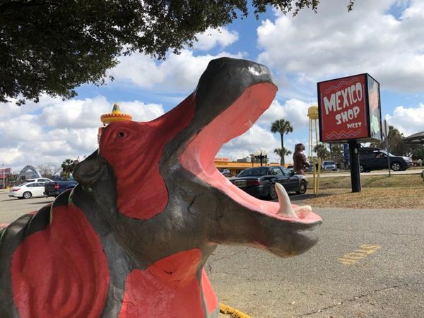 A concrete hippopotamus with a tiny sombrero looks open mouthed at the bizarre world of the roadside tourist trap South of the Border in Hamer, South Carolina thumbnail