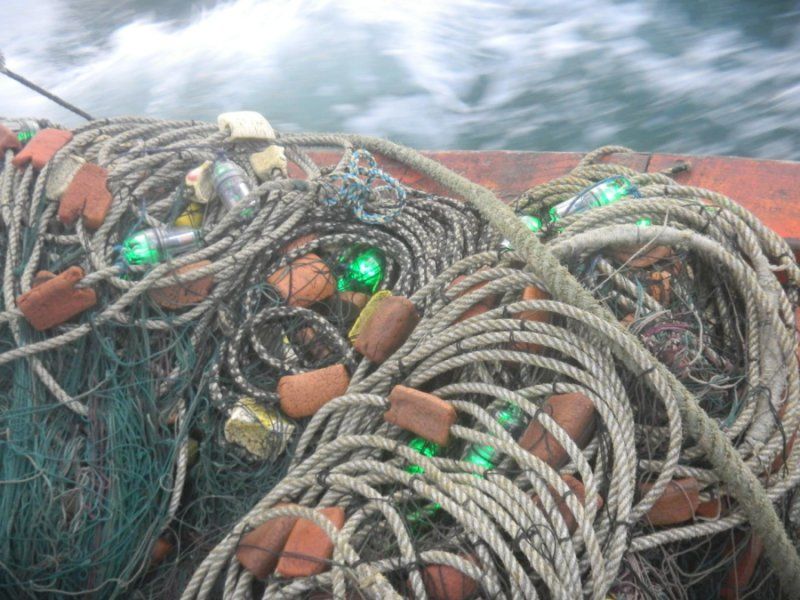 fishing nets in the water