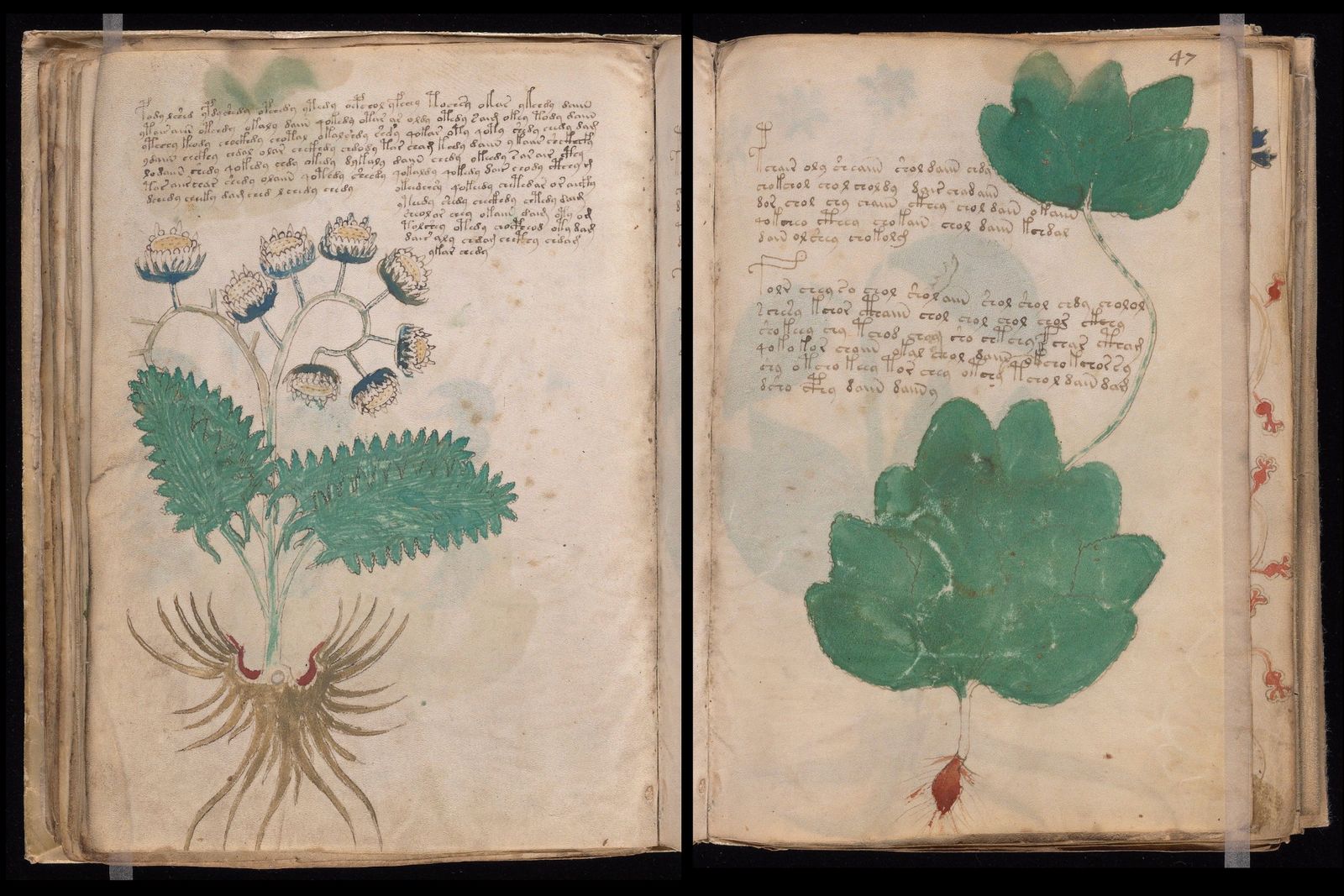 This Mysterious Medieval Manuscript Has Stumped Scholars for Well Over a Century. Could Its Pages Have Been Bound Out of Order This Whole Time?