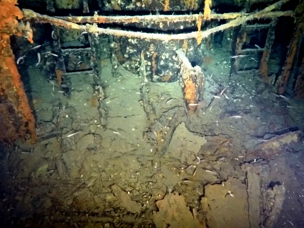 Shipwreck Hunters Find Lost World War II-Era Submarine That Vanished With 64 Crew Members Onboard image