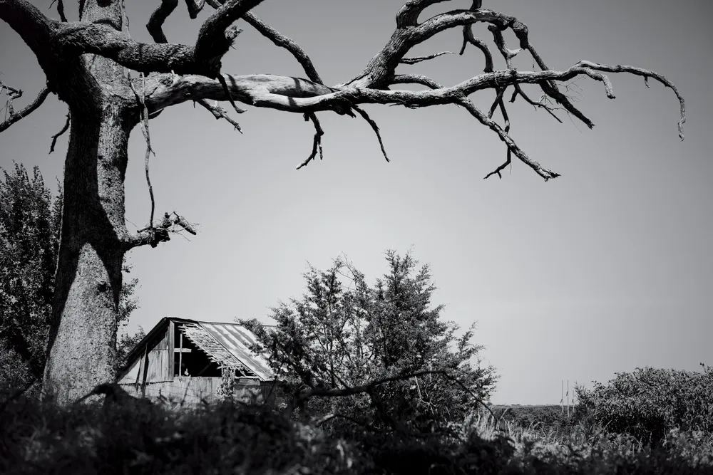 Seminole County landscape 