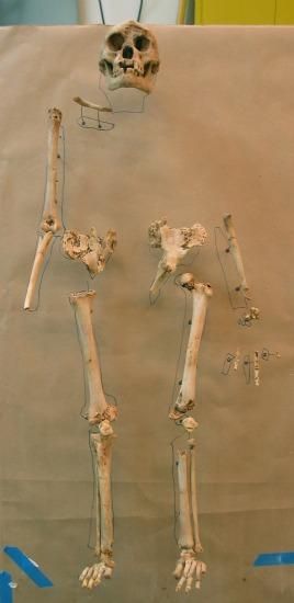 A replica of a partial set of Homo floresiensis bones made by the 3-D printer.