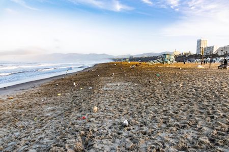 Litter, much of it plastic, dots a beach in Santa Monica, CA, the morning after a beach cleanup.

