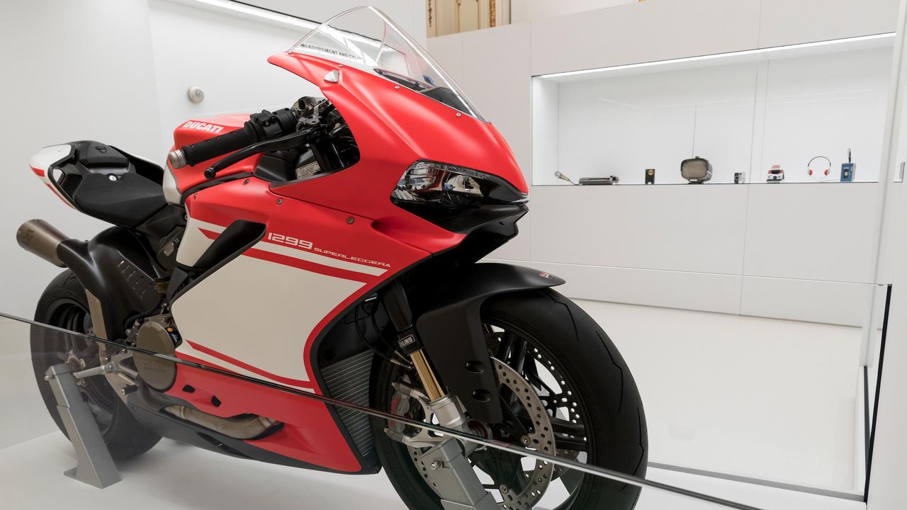 たぬき 希少 bgselects-10.jpg バイク一般