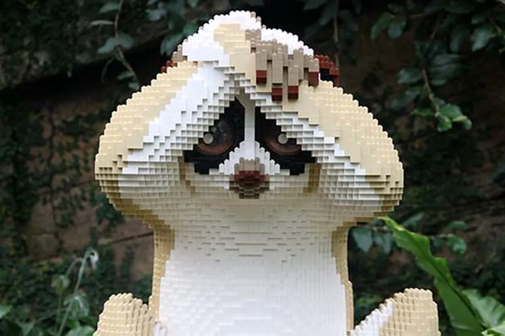 Slow loris Sean Kenney-mobile.jpg