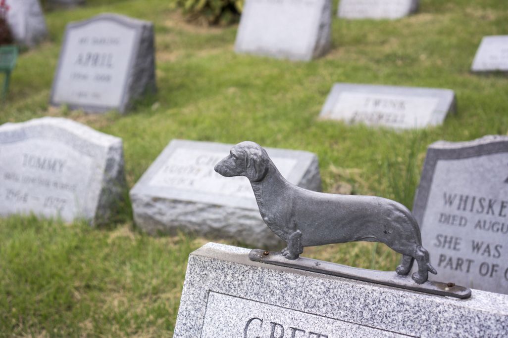 pet cemetary
