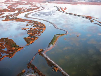 Grand Liard Bayou