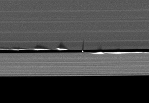 Daphnis-505.jpg