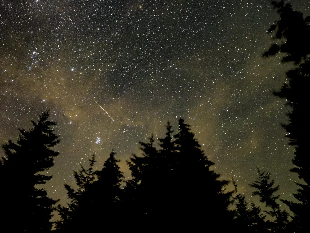 Dark evergreen trees illuminated by starlight and a shooting star