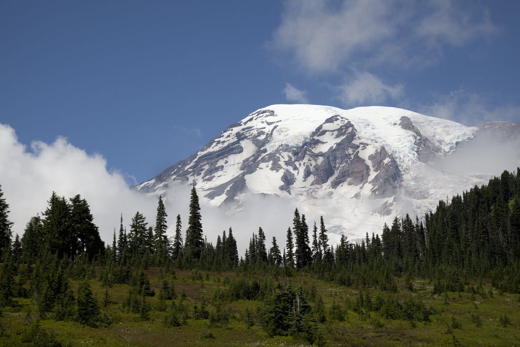 rainier