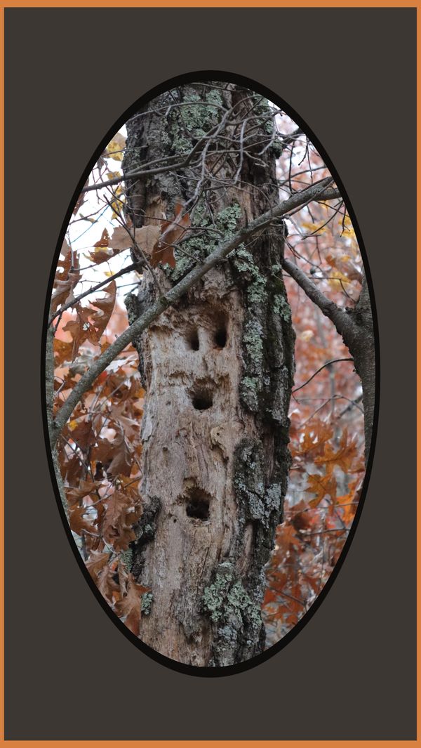 The "Hallowed tree"_"learning totem" thumbnail