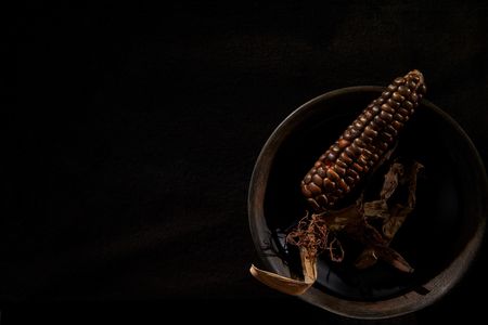 Carbon-dating techniques have now identified this ancient maize cob at about 950 to 1,000 years old.