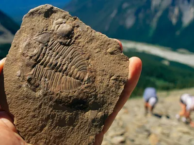 The Burgess Shale, a crumbling slope in Canada's Rocky Mountains, has provided our first good look at the rich variety of organisms that once flourished in the region.