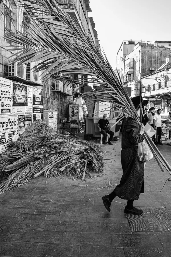 On the Streets thumbnail