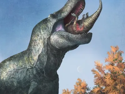 The&nbsp;Tyrannosaurus rex may have had lips.