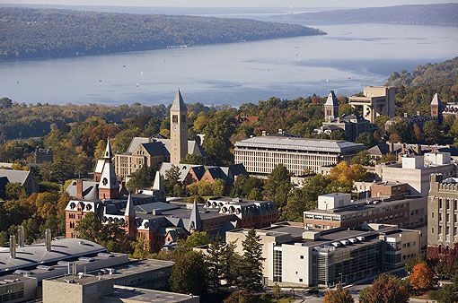 20110520104022cornell.jpg