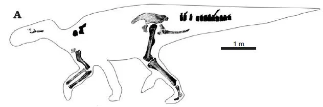 20110520083307hadrosaurus-skeleton.jpg