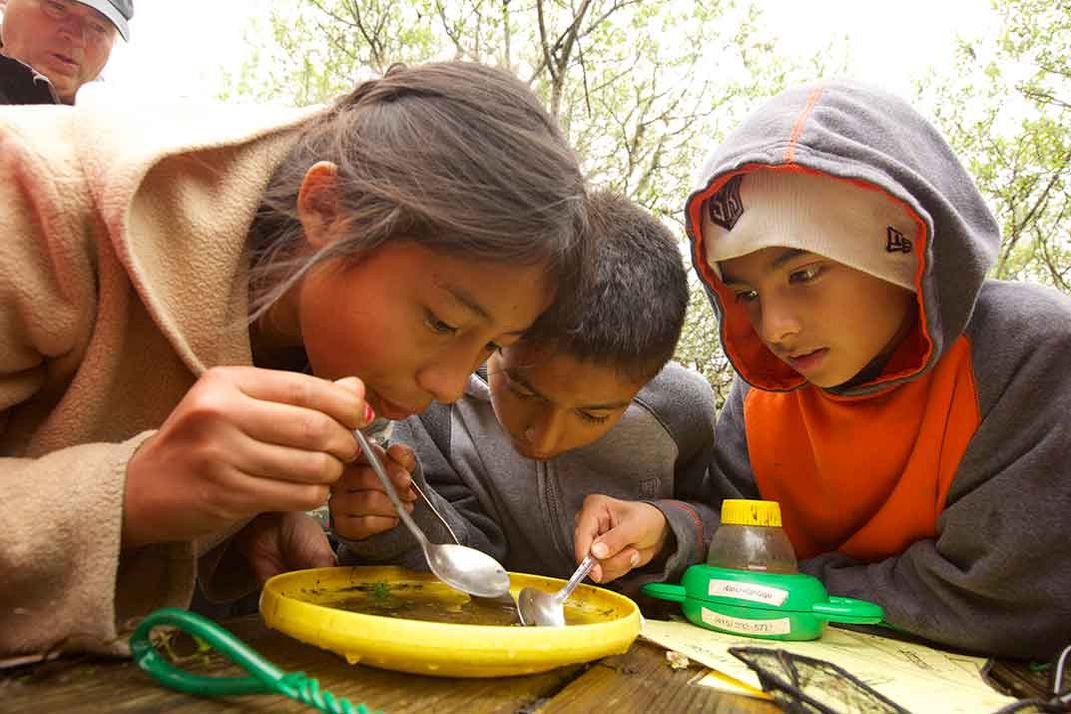 biocube, school children