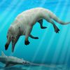 Whales Once Walked Along the Coasts of North America icon