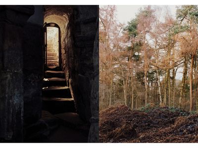 Opener - Letterboxed