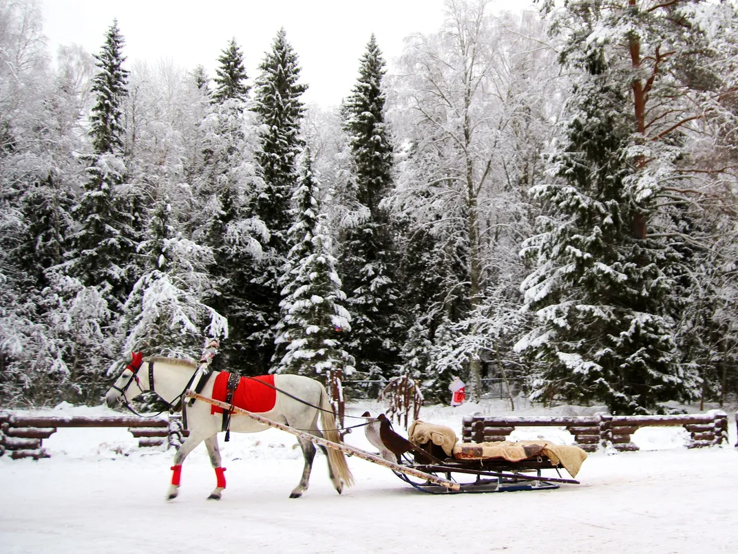 A horse pulling a sleigh dressed in Christmas clothes