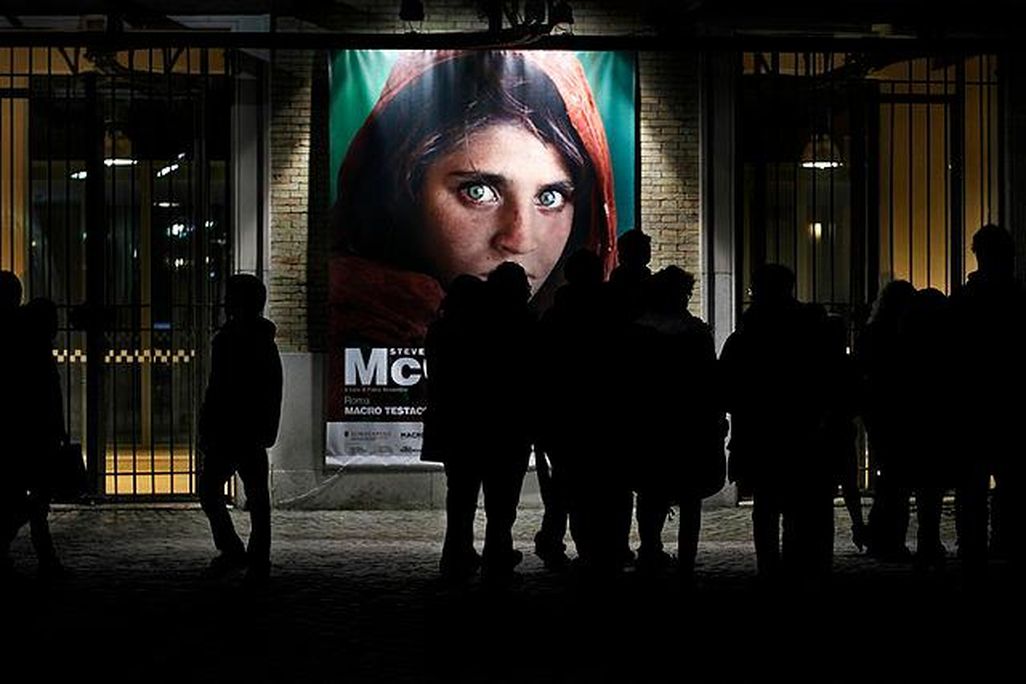sharbat gula