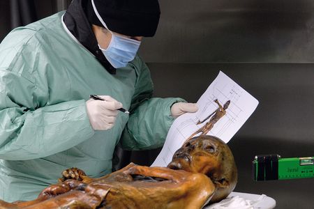 &Ouml;tzi the Iceman has 61 tattoos across his abdomen, lower back, lower legs and left wrist.