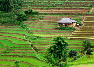 tailor-made-travel-vietnam
