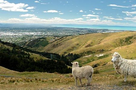 Christchurch is the home of the United States/New Zealand polar logistics center and is the jumping-off point for the flight to Antarctica.