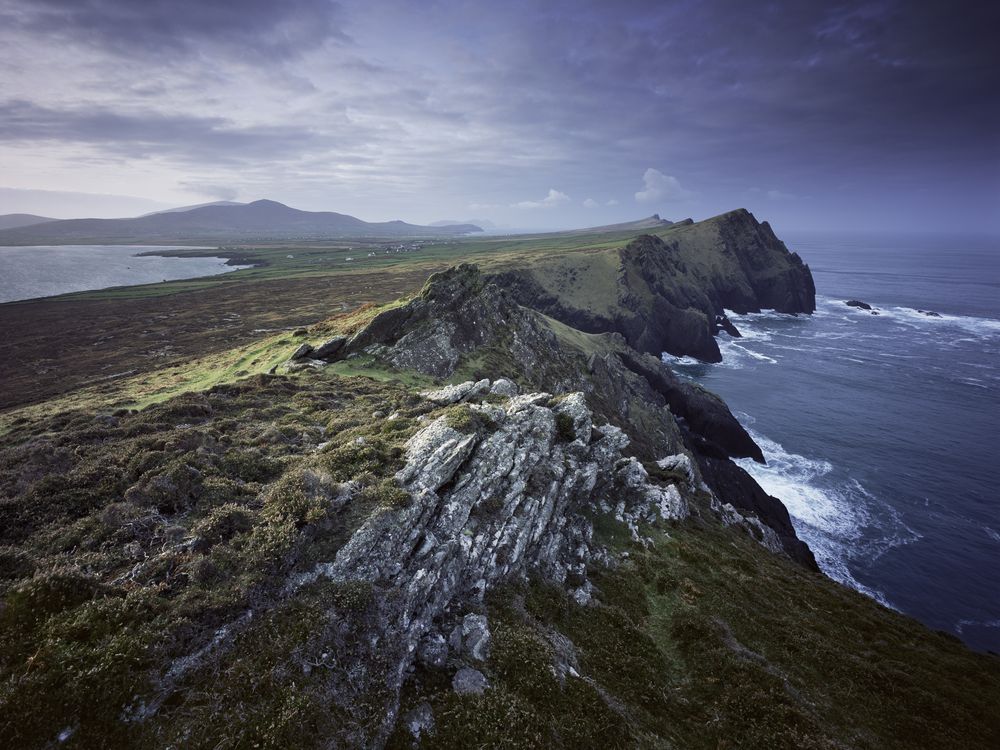 dingle-ireland-steves.jpg