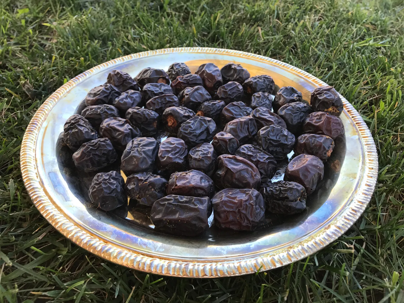 Dates: An Ancient Fruit Rediscovered, Food & Nutrition Magazine