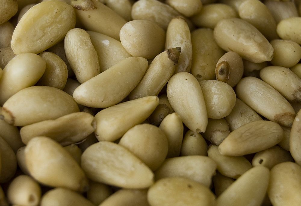 1024px-Shelled_pine_nuts.jpg