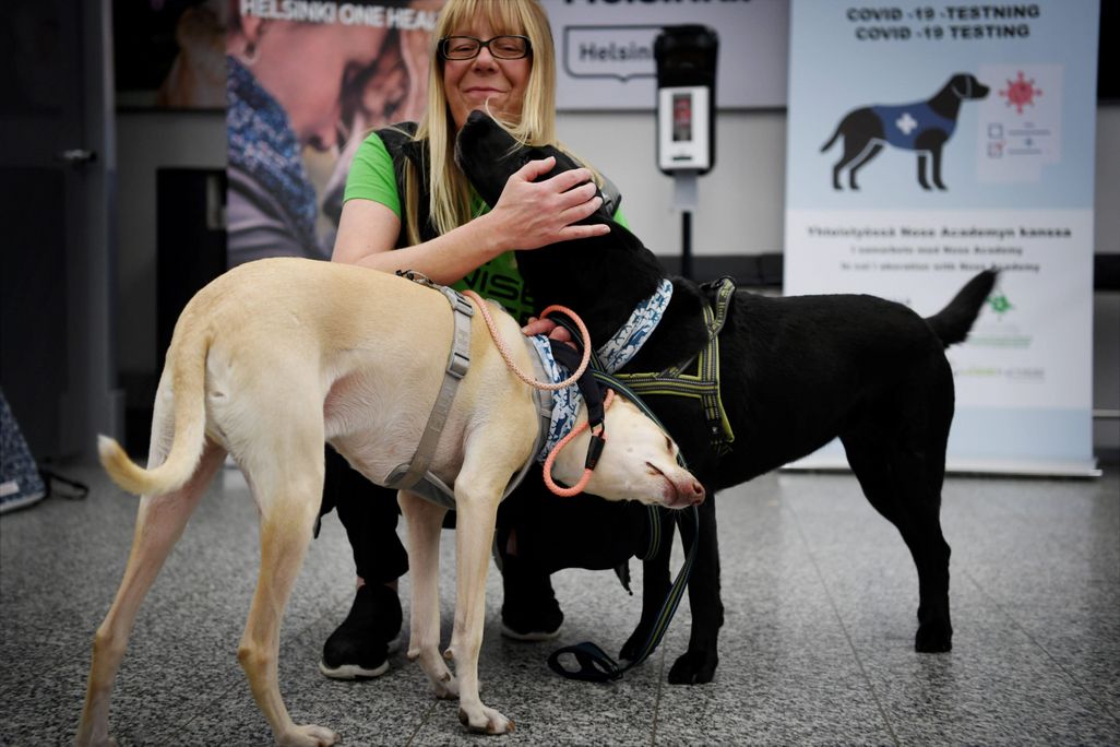 The coronavirus sniffer dogs named Kössi (L) and Miina cuddle with trainer Susanna Paavilainen at the Helsinki airport in Vantaa, Finland 