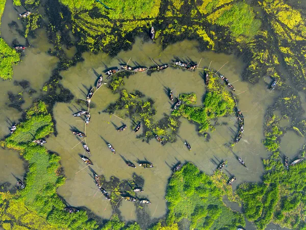 Fishing in the Algae River thumbnail