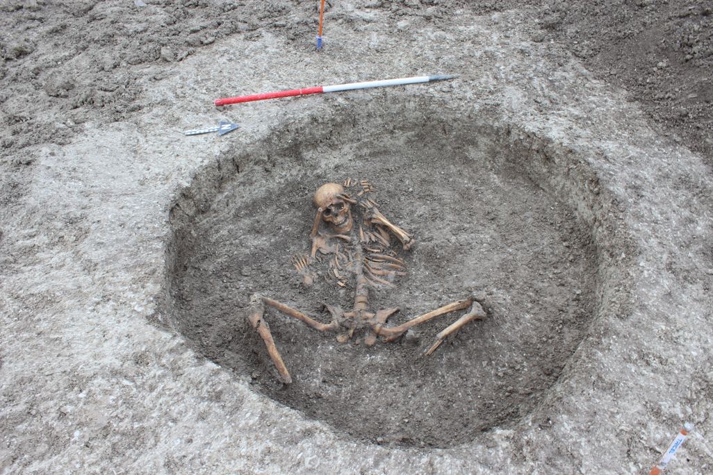 Dig11.JPG