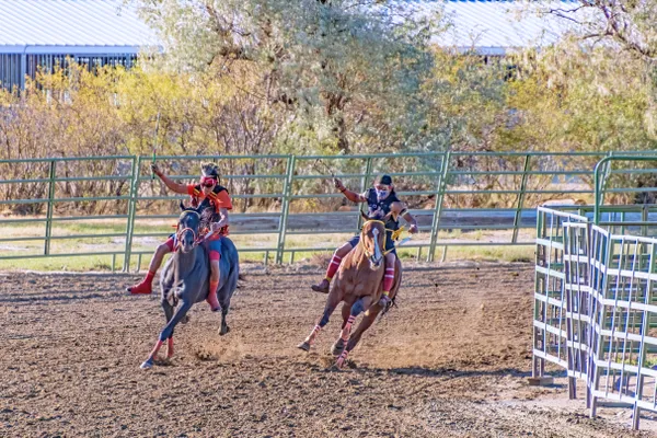 Going for the Gold thumbnail