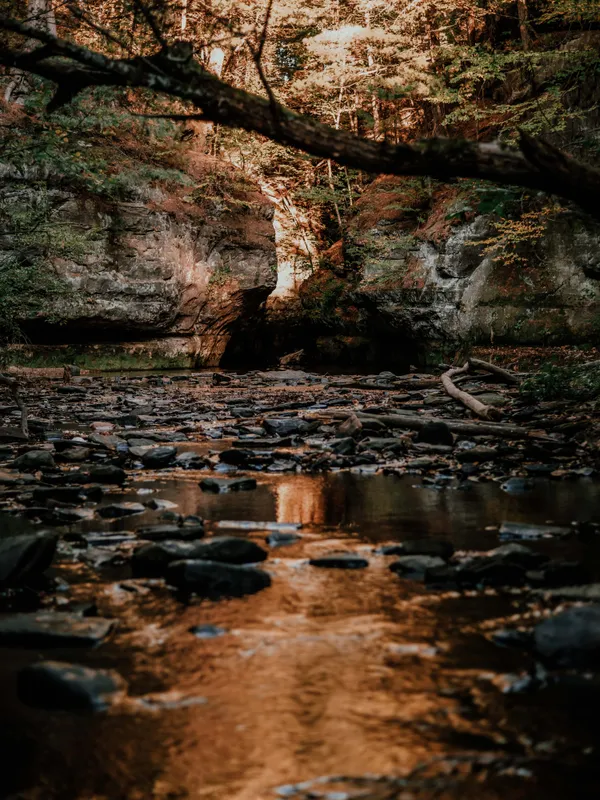 The creek bed embraces a fiery reflection following nature's tumultuous waterfall. thumbnail