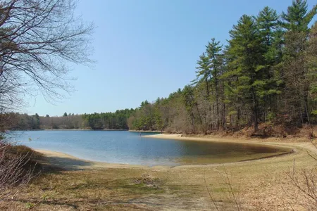 A new study reveals how Walden Pond has dramatically changed thanks to human activity.