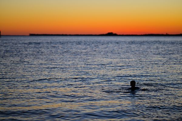 Sunset Swim at Edisto thumbnail