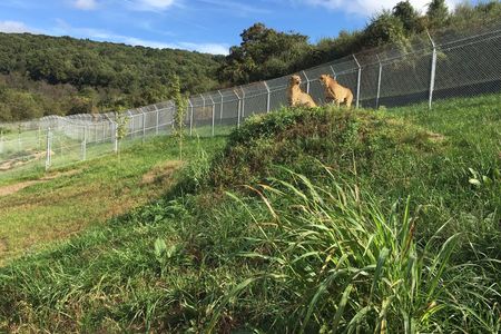 The Smithsonian Conservation Biology Institute's 