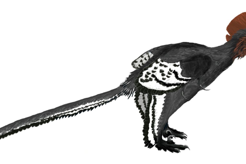 2013032811403203_28_2013_dinosaur-color.jpg